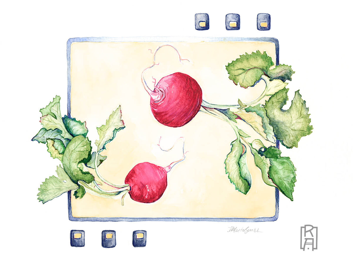 Radishes - watercolor by Denise Marta-Burch