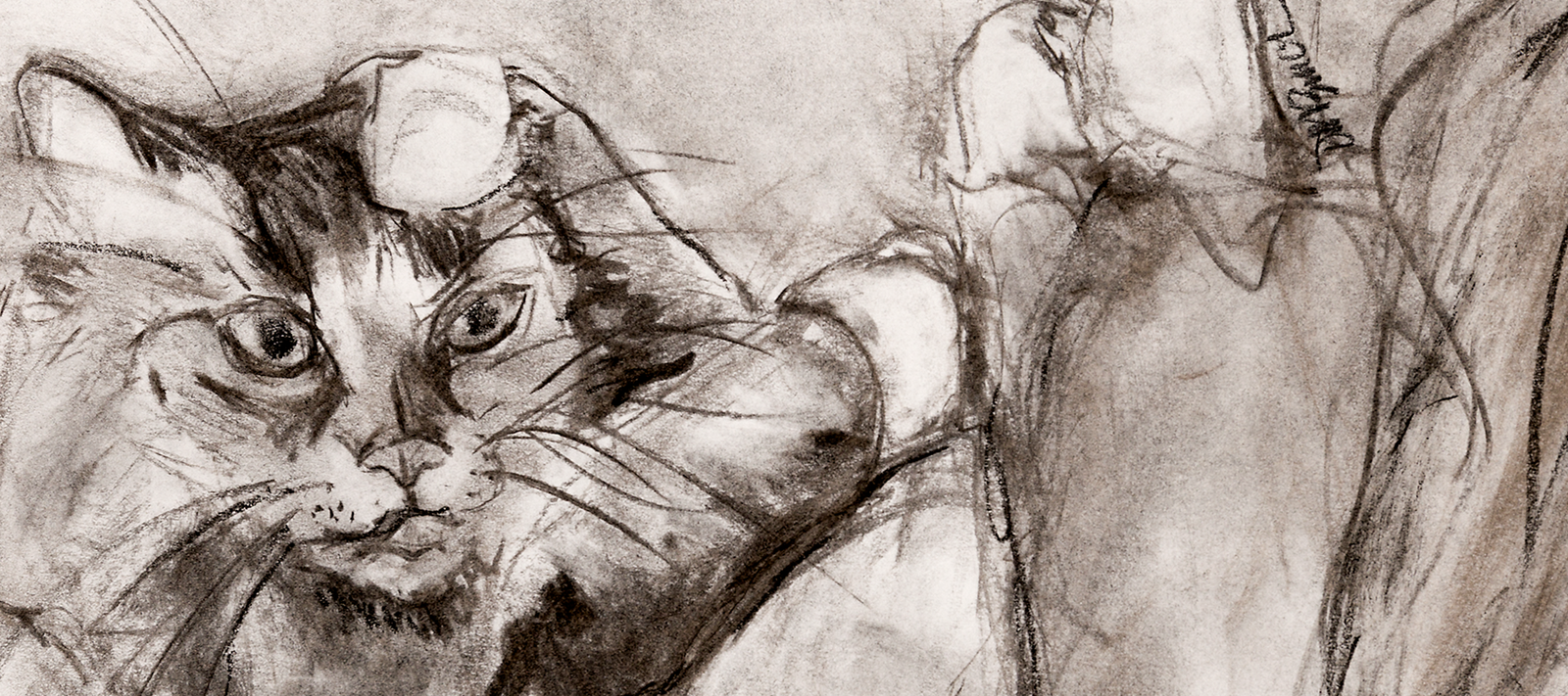 Illustrations by Denise Marta-Burch