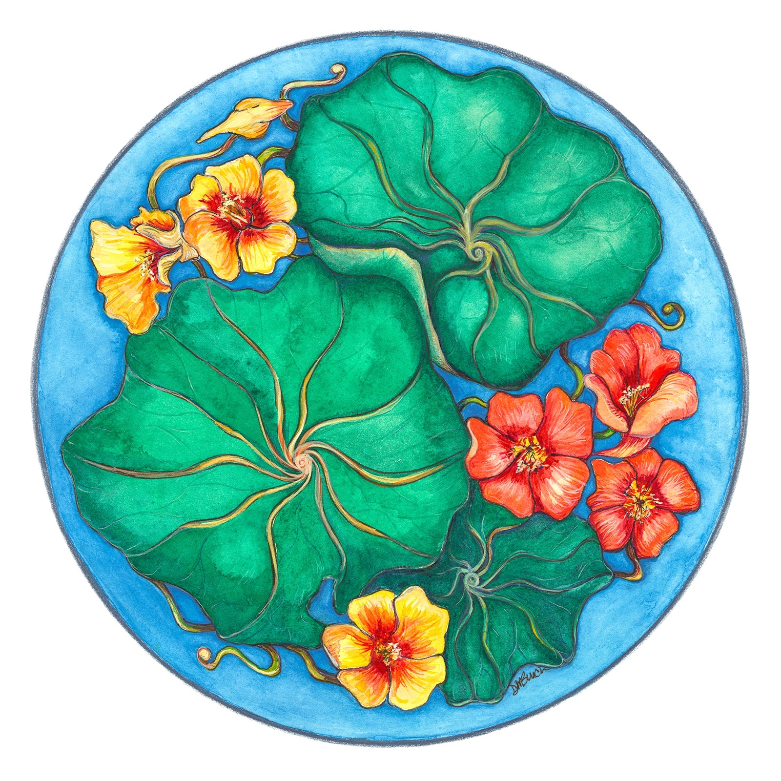 Botanical Paintings by Denise Marta-Burch