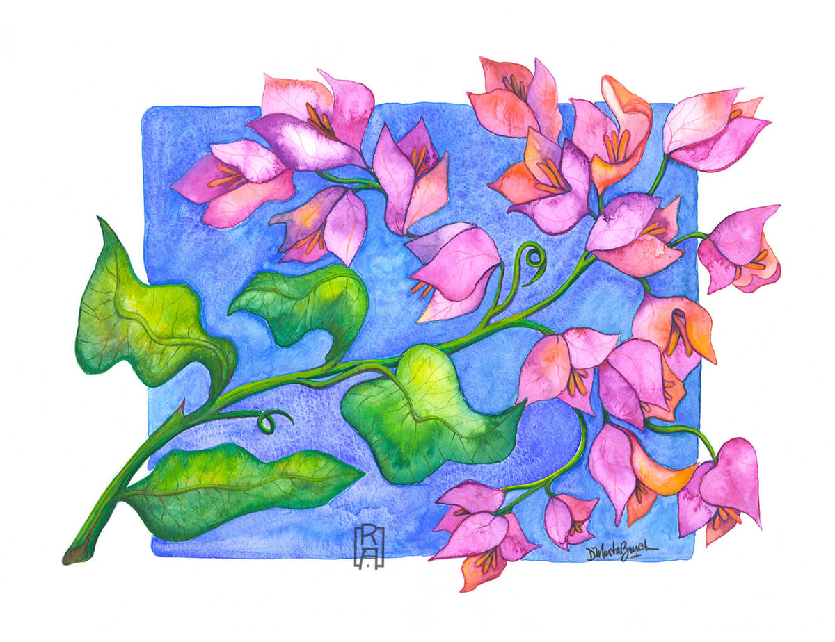 Bougainvillea | Mixed Media Painting by Denise Marta-Burch