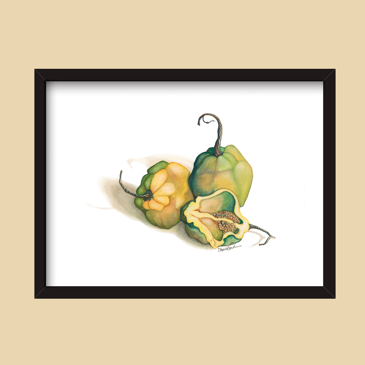 Habanero Peppers | Watercolor Painting by Denise Marta-Burch