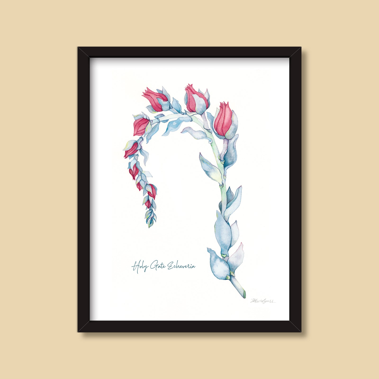 Holy Gate Echeveria | Watercolor Painting by Denise Marta-Burch