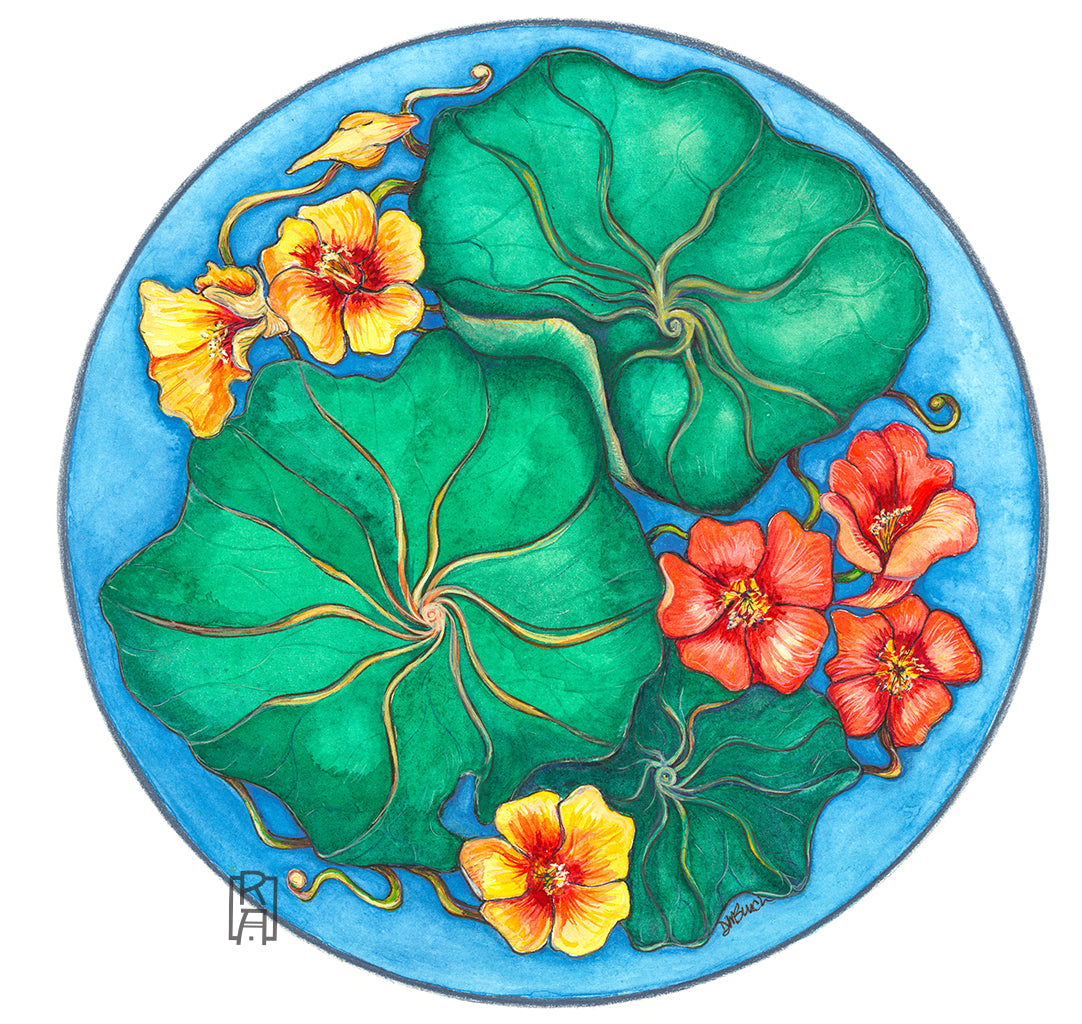 Nasturtiums | Mixed Media Painting by Denise Marta-Burch