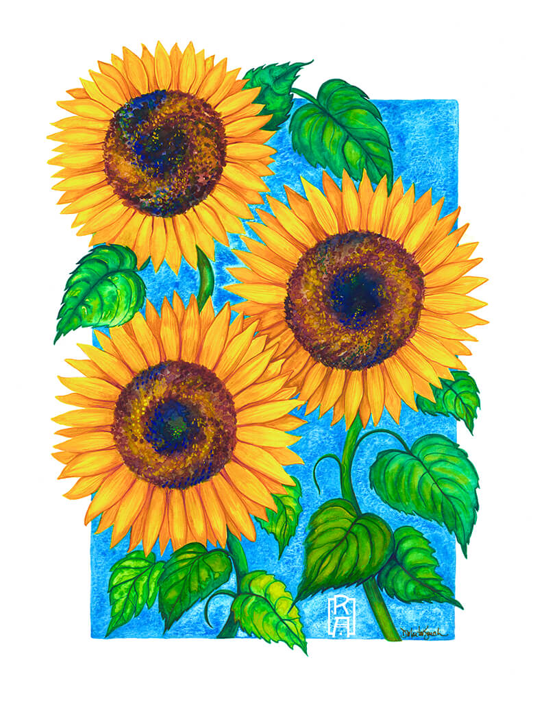 Sunflowers | Watercolor Painting by Denise Marta-Burch