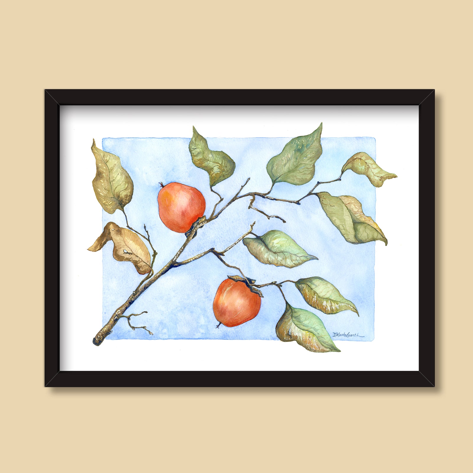 Wild Persimmons | Watercolor Painting by Denise Marta-Burch